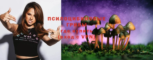 дмт Нягань