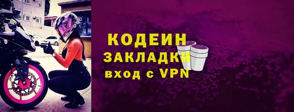 прущие грибы Новозыбков