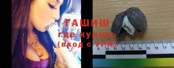 прущие грибы Новозыбков