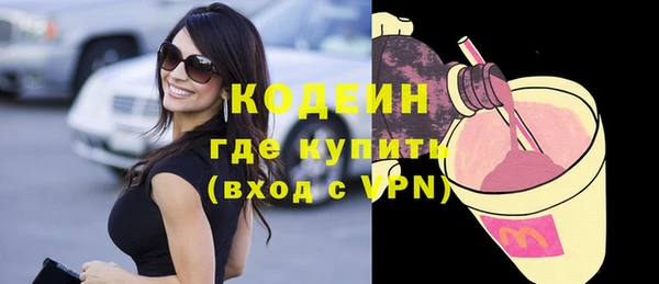 молекула духа Няндома