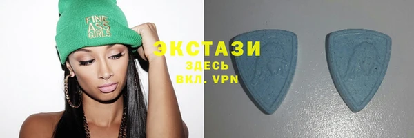 прущие грибы Новозыбков