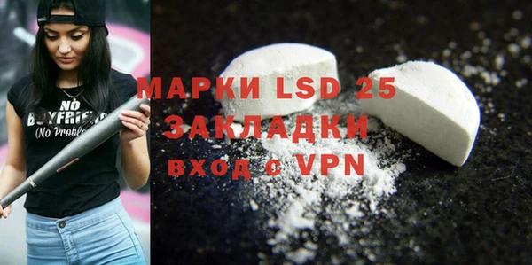 прущие грибы Новозыбков