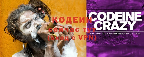 дмт Нягань