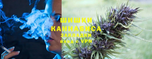 прущие грибы Новозыбков